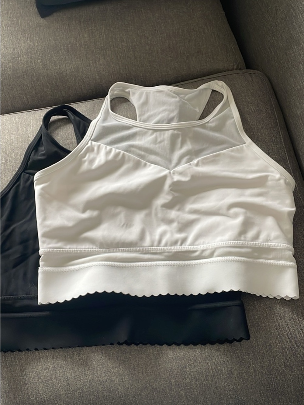 Seamless Scalloped Hem Performance Sports Bralette - White & Black Duo